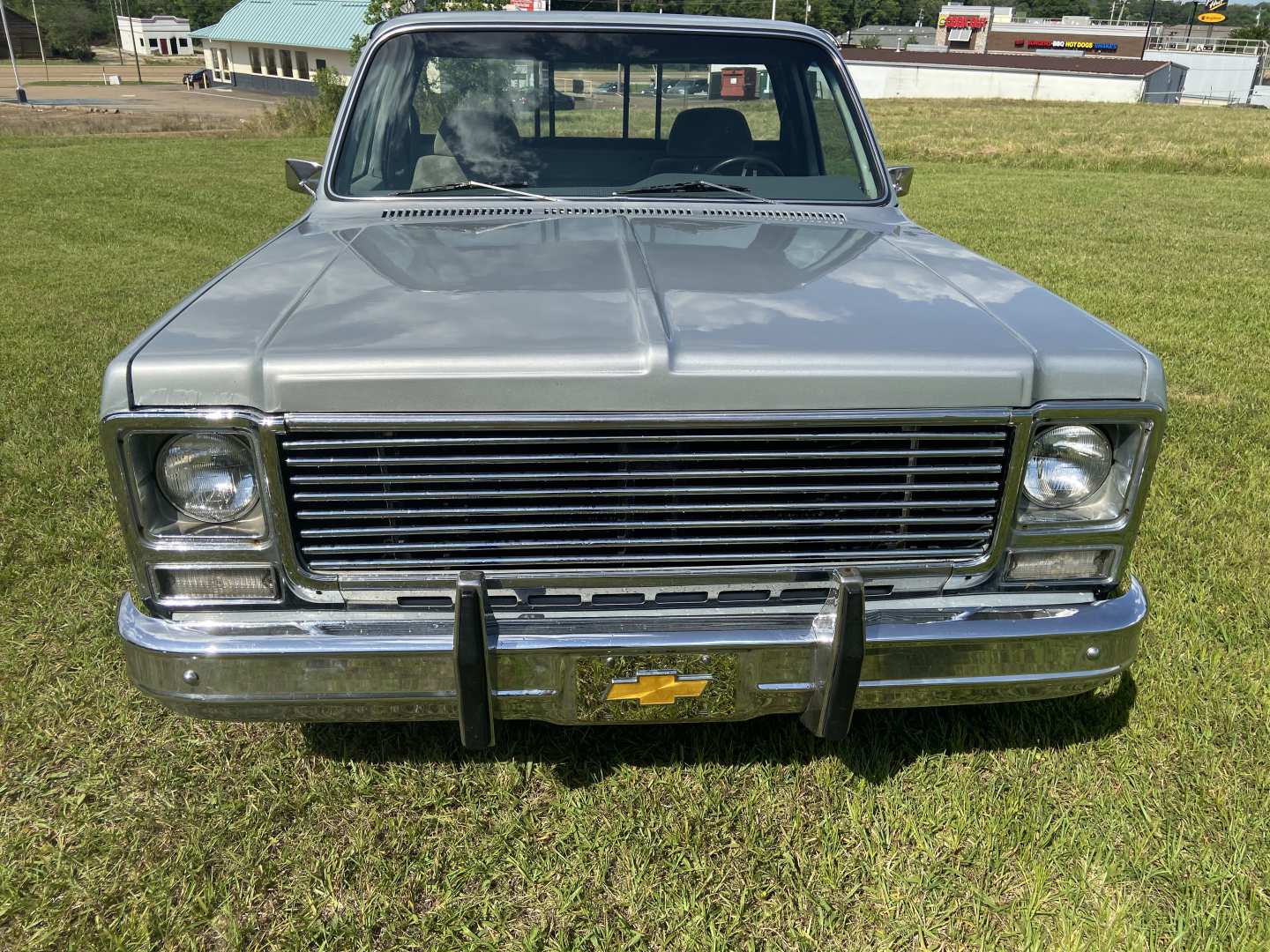 5th Image of a 1979 CHEVROLET C-10