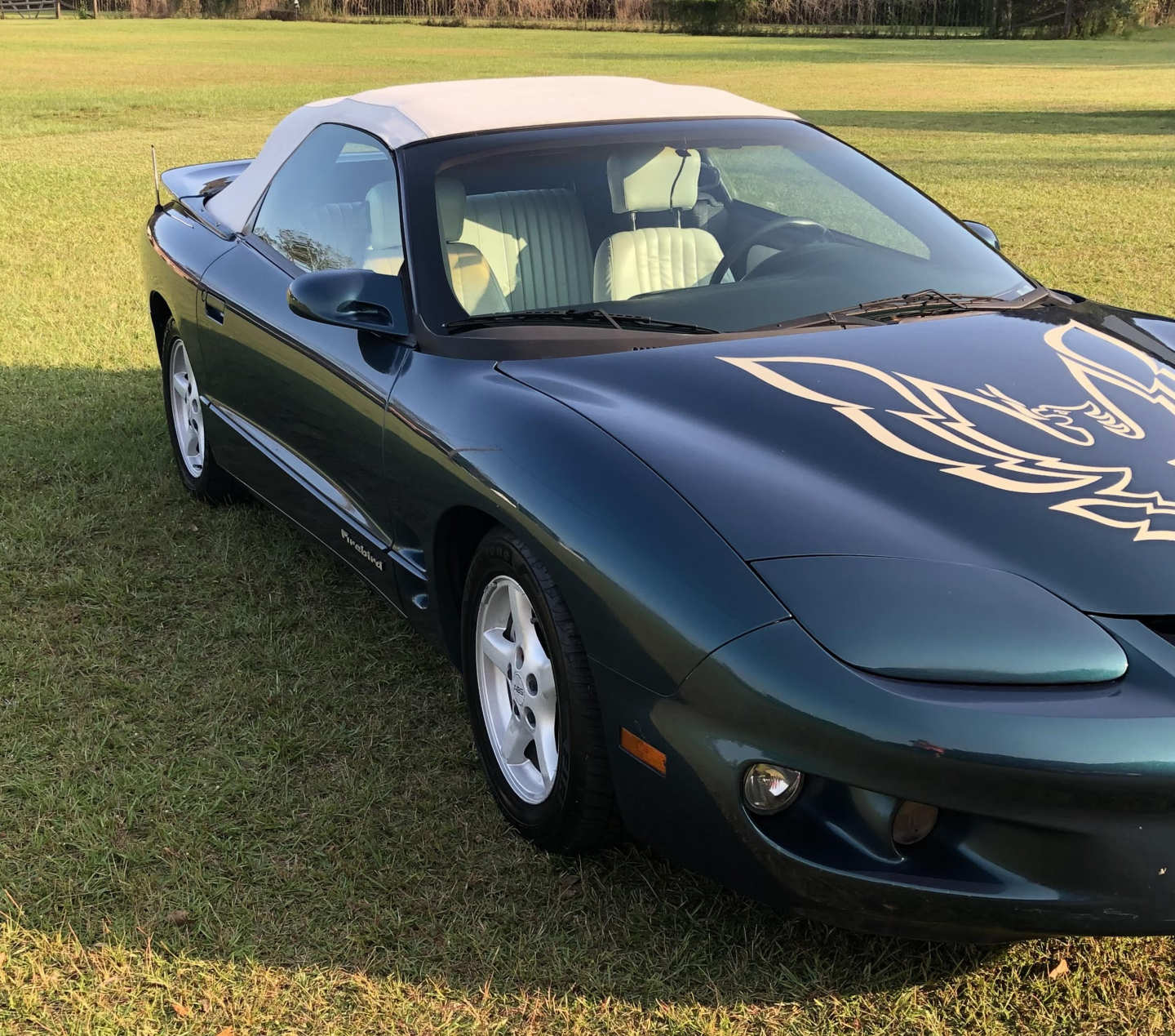 1st Image of a 1998 PONTIAC FIREBIRD