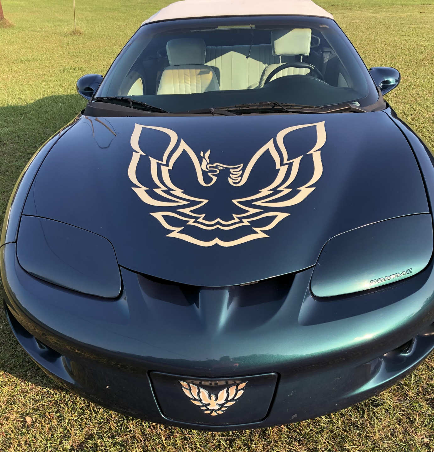 2nd Image of a 1998 PONTIAC FIREBIRD