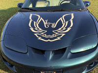 Image 3 of 3 of a 1998 PONTIAC FIREBIRD