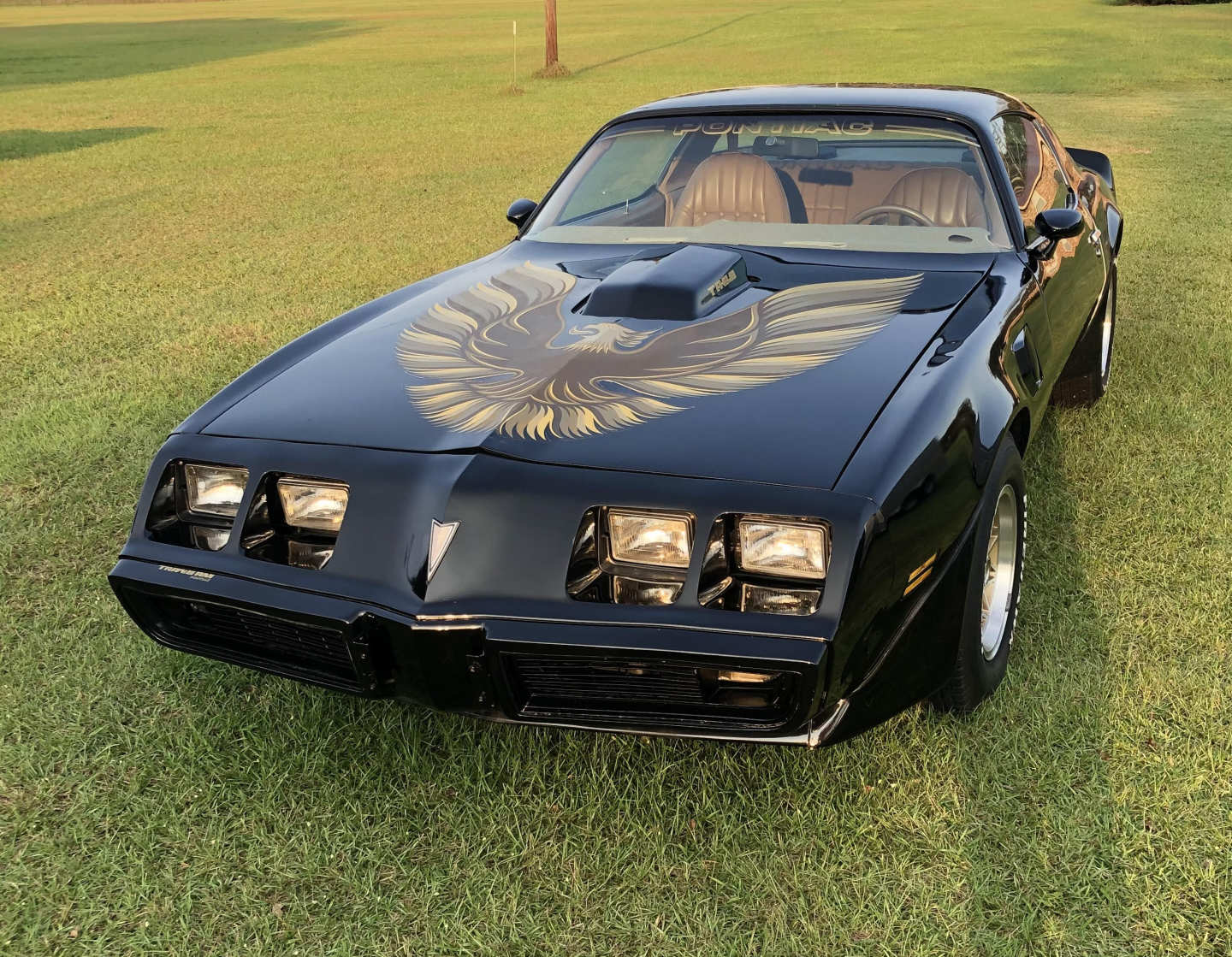 0th Image of a 1979 PONTIAC TRANSAM