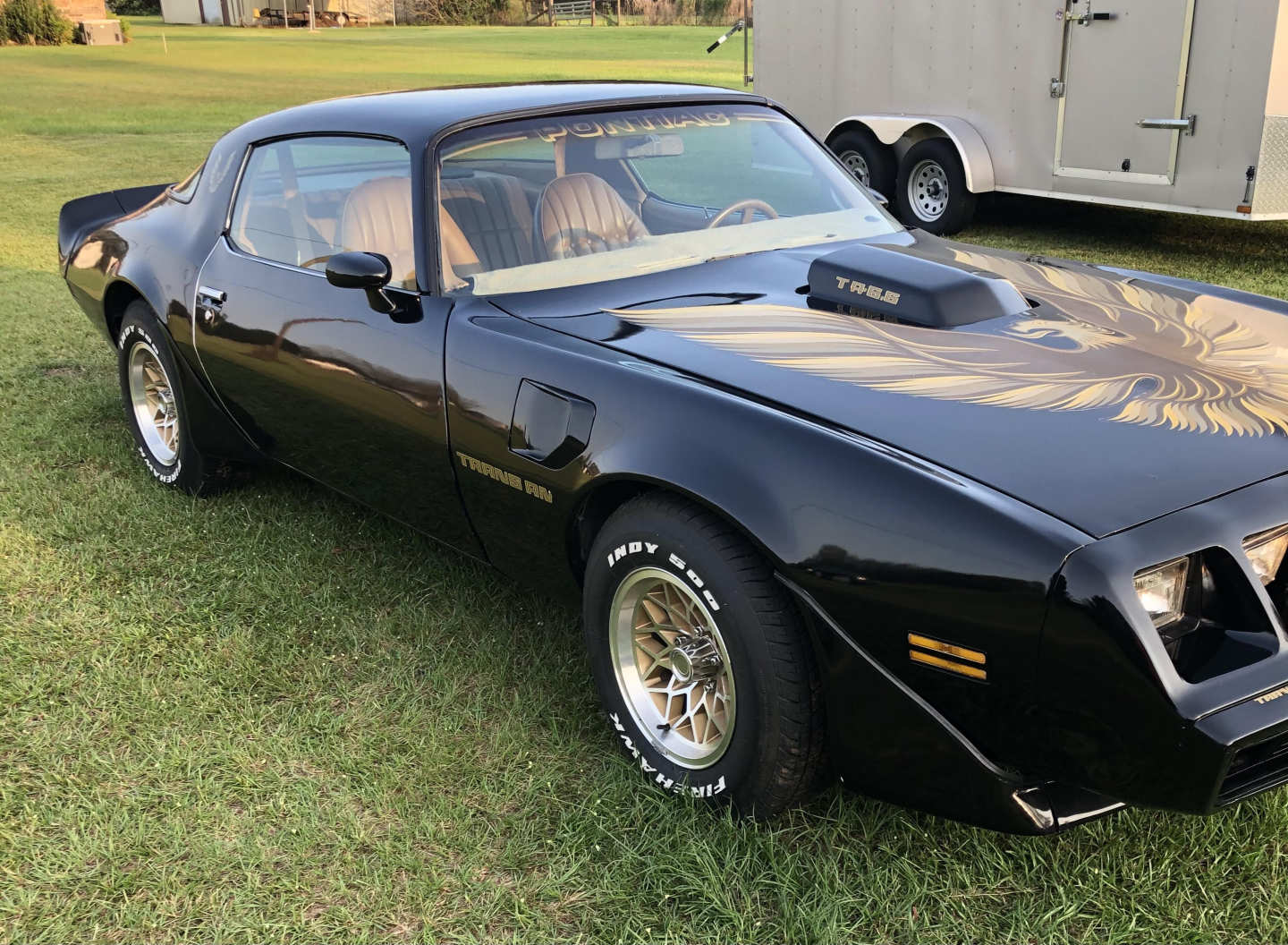 1st Image of a 1979 PONTIAC TRANSAM