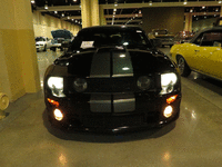 Image 1 of 19 of a 2008 FORD MUSTANG GT