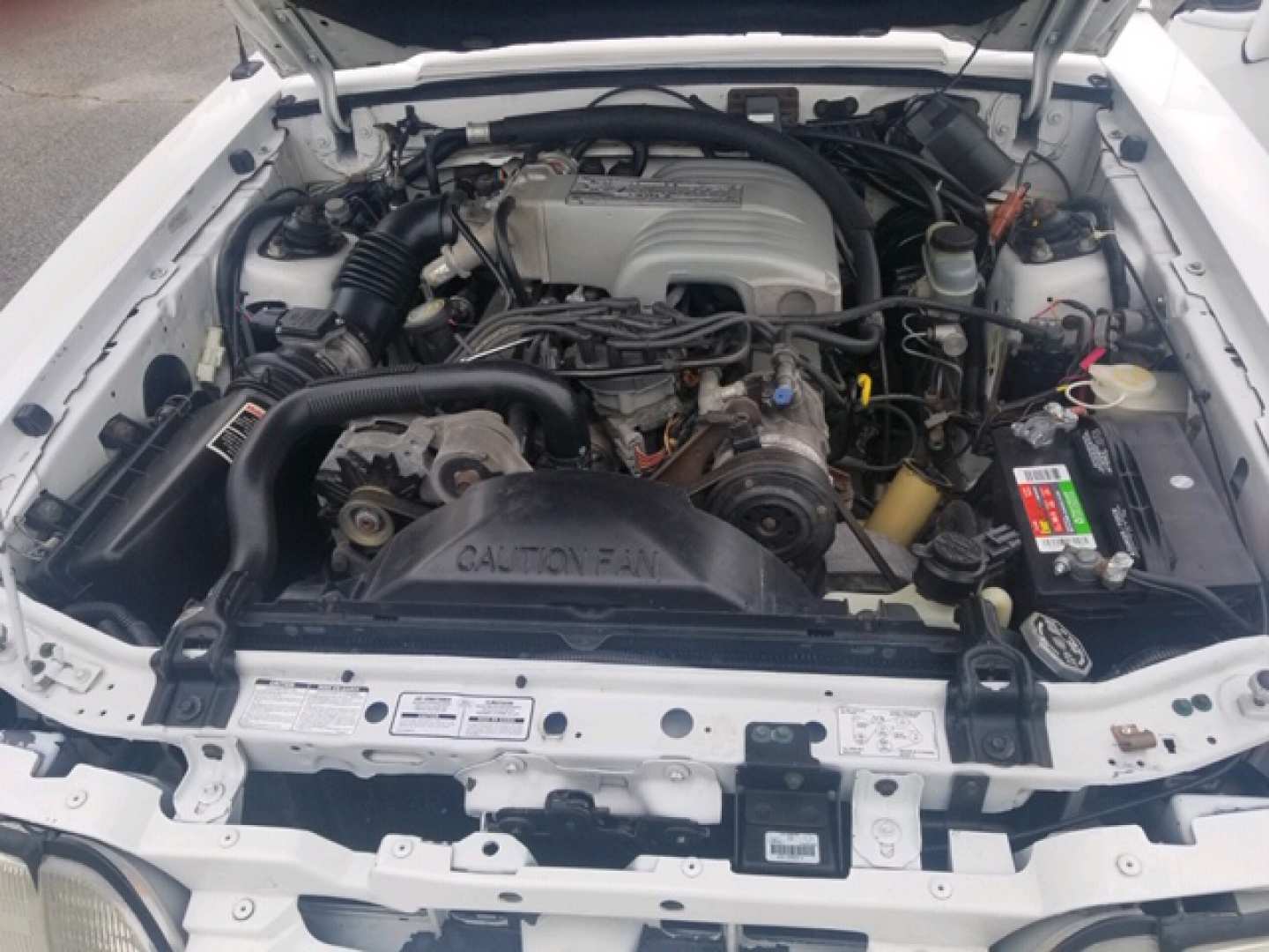 6th Image of a 1993 FORD MUSTANG LX