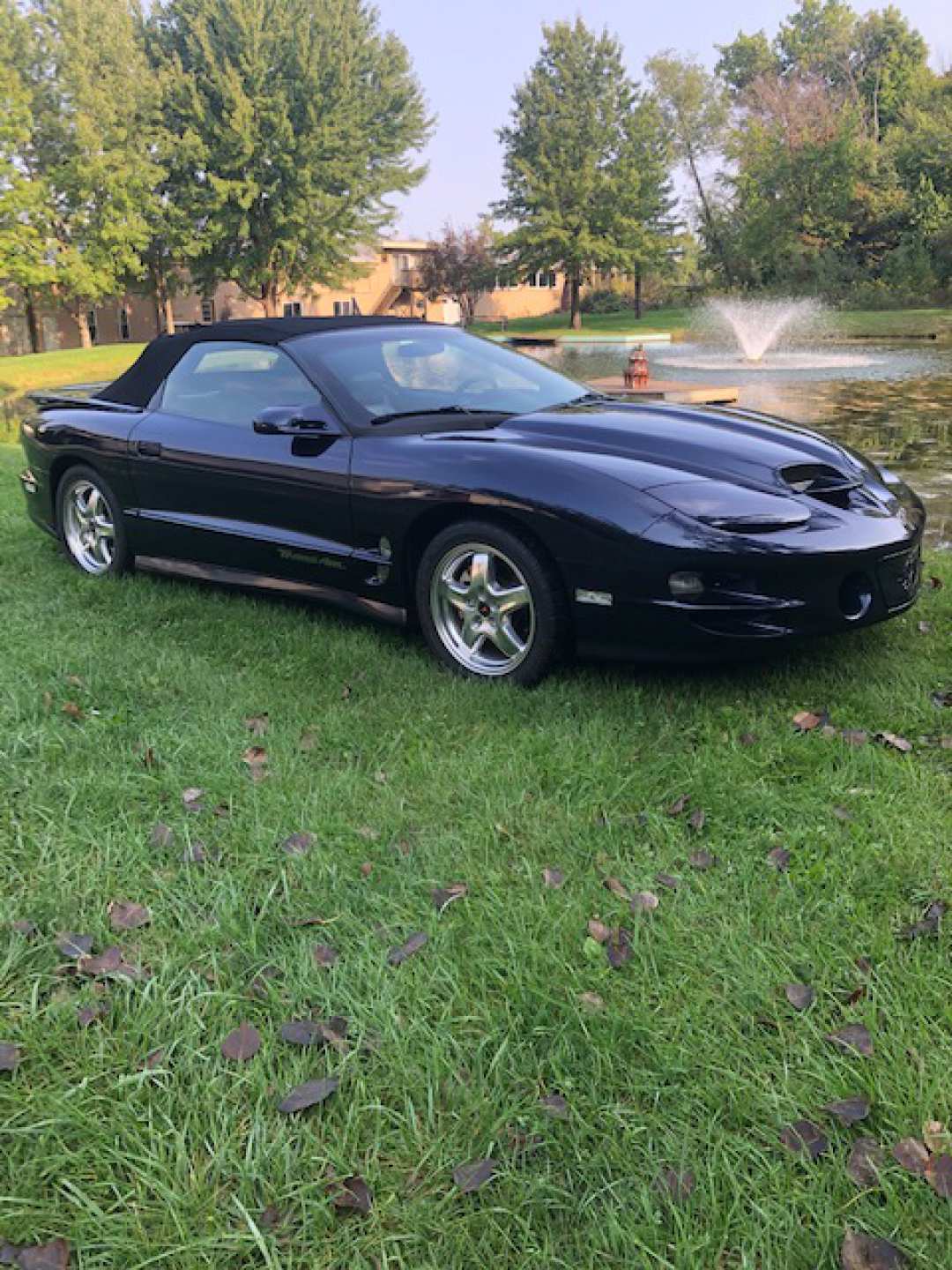 0th Image of a 2002 PONTIAC FIREBIRD TRANS AM