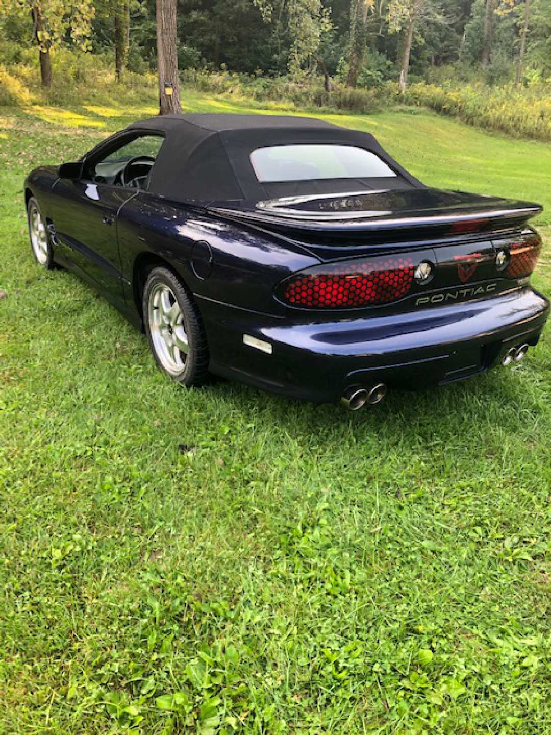 2nd Image of a 2002 PONTIAC FIREBIRD TRANS AM