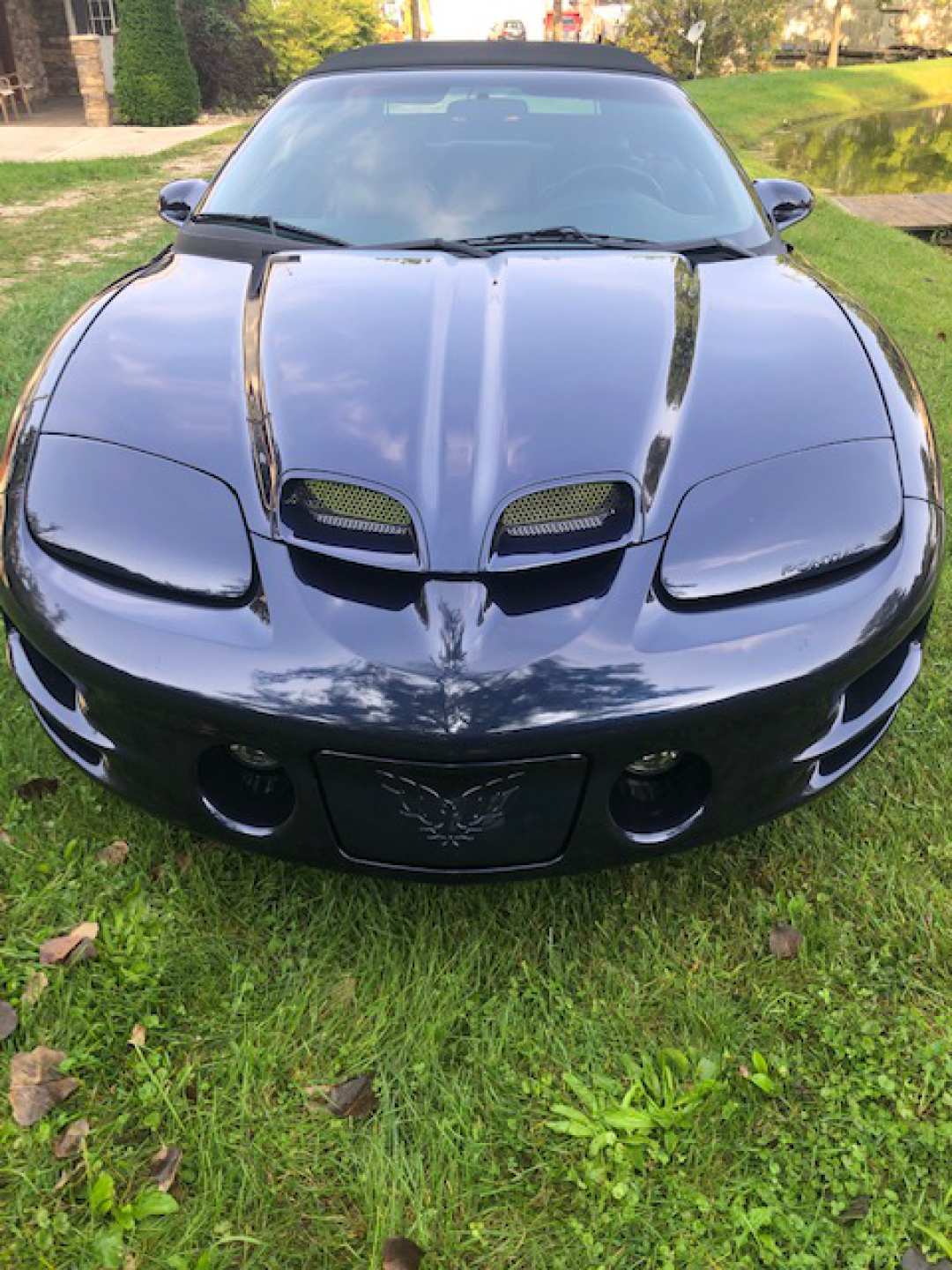 3rd Image of a 2002 PONTIAC FIREBIRD TRANS AM