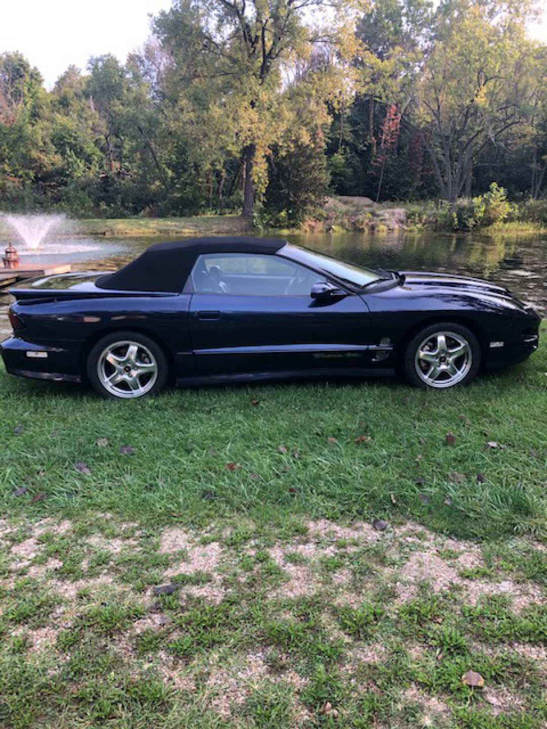 5th Image of a 2002 PONTIAC FIREBIRD TRANS AM