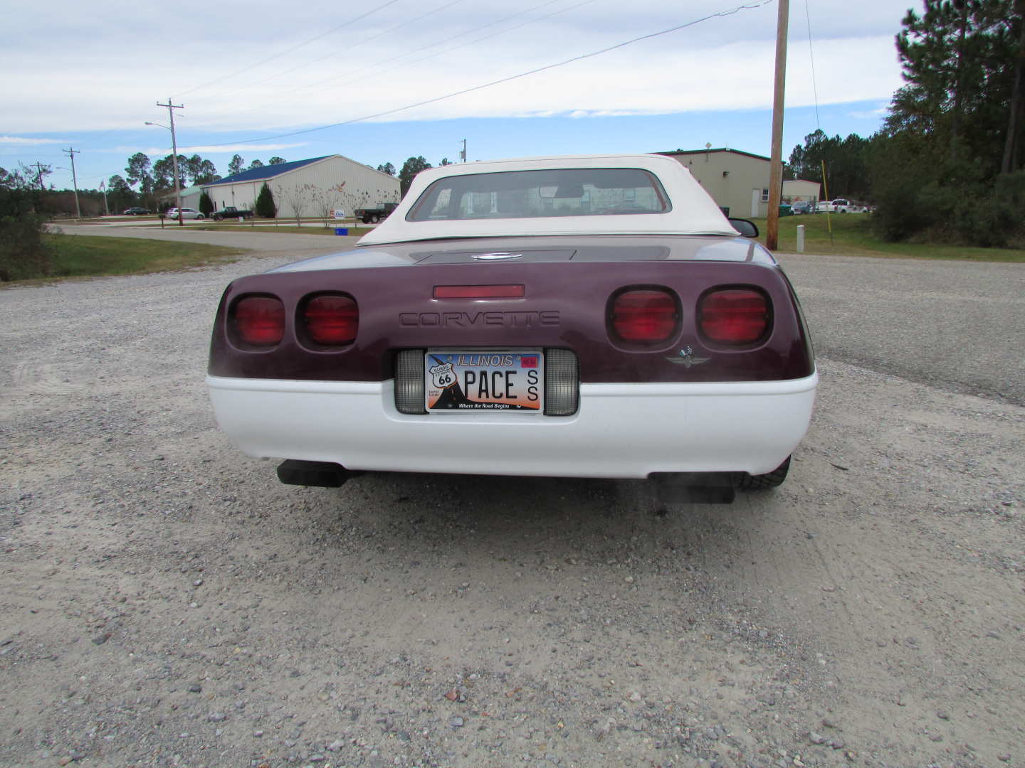 8th Image of a 1995 CHEVROLET CORVETTE