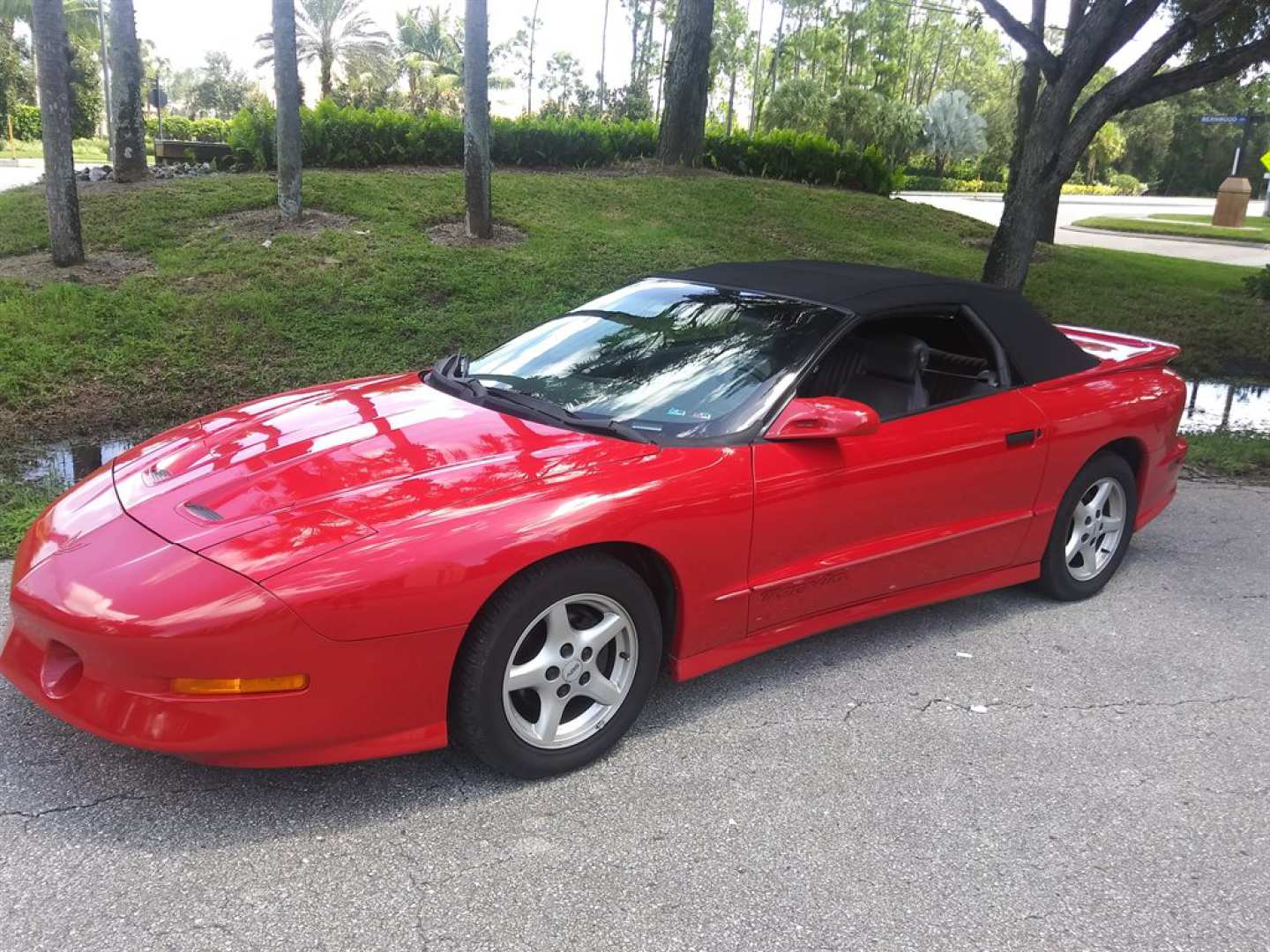 0th Image of a 1997 PONTIAC FIREBIRD TRANS AM