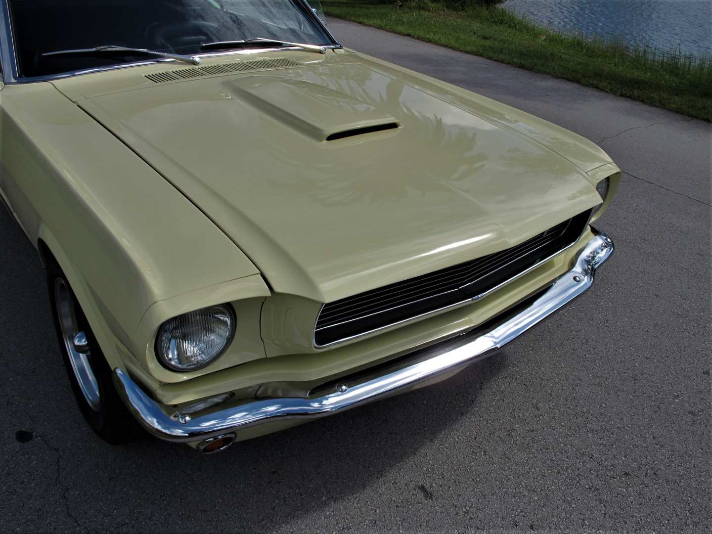 5th Image of a 1966 FORD MUSTANG