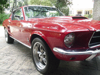Image 6 of 14 of a 1967 FORD MUSTANG
