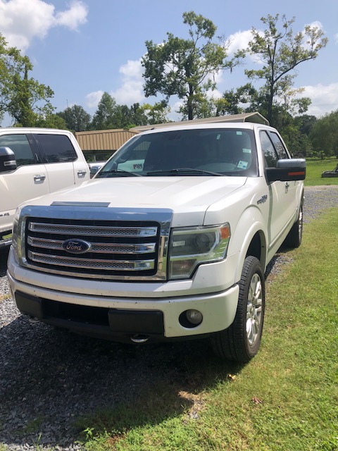 0th Image of a 2013 FORD F-150 PLATINUM