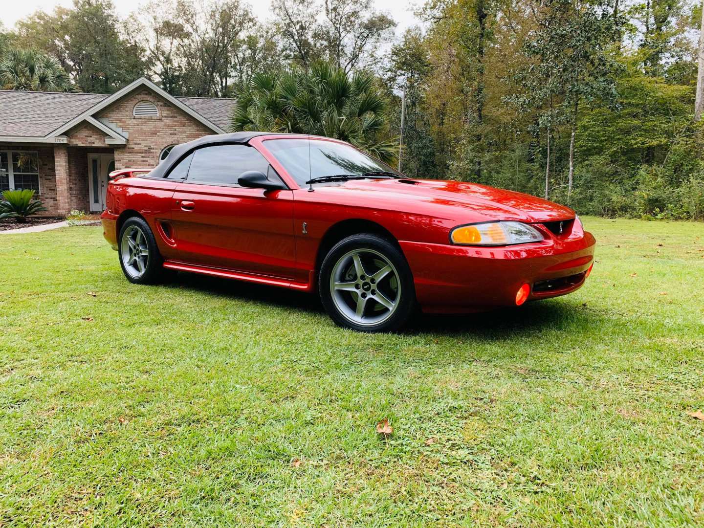 0th Image of a 1998 FORD MUSTANG COBRA