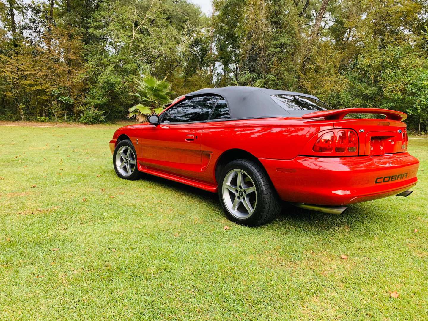 1st Image of a 1998 FORD MUSTANG COBRA