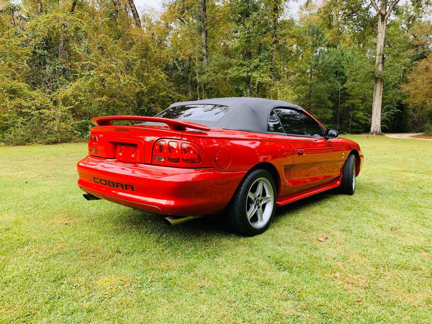 3rd Image of a 1998 FORD MUSTANG COBRA