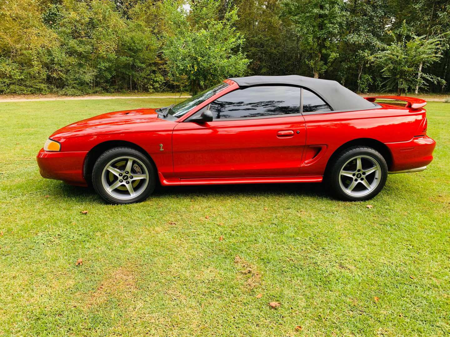 5th Image of a 1998 FORD MUSTANG COBRA