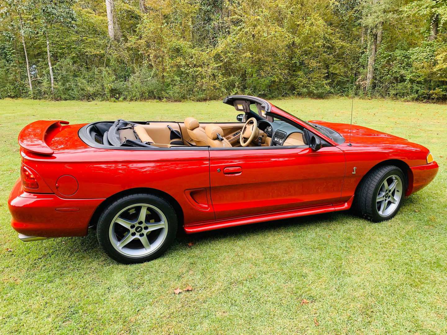 6th Image of a 1998 FORD MUSTANG COBRA