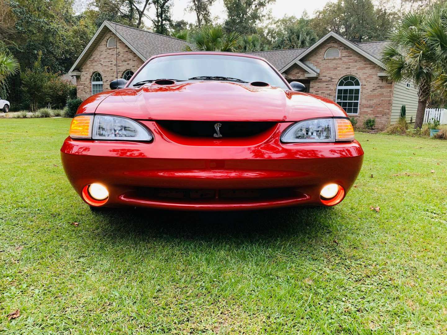 7th Image of a 1998 FORD MUSTANG COBRA