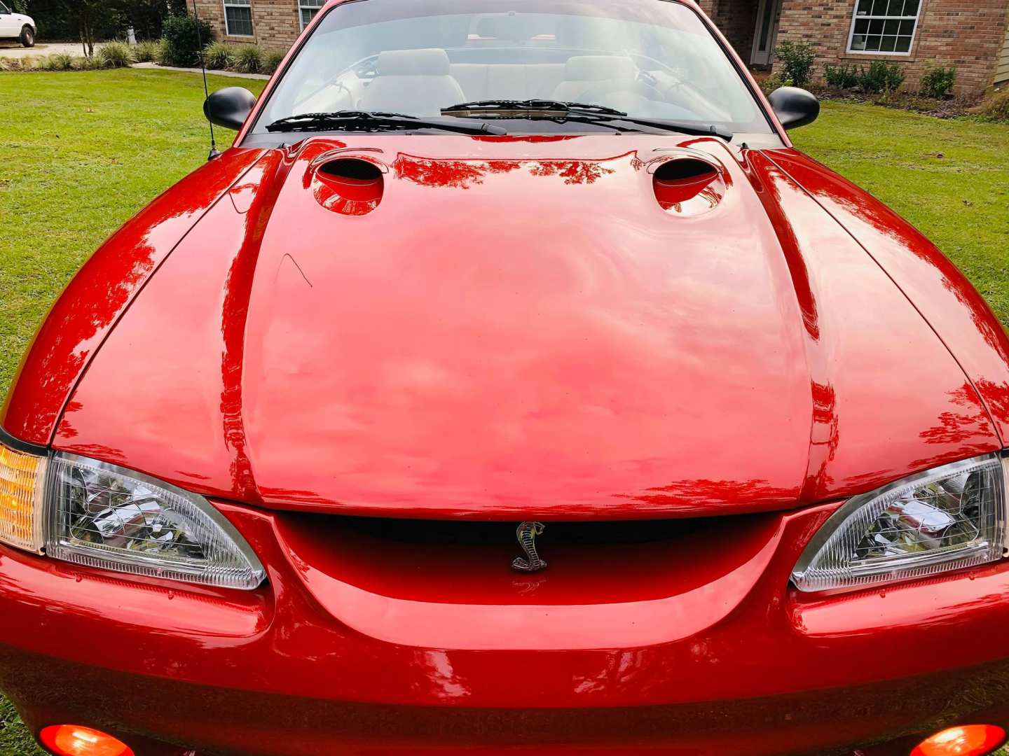 8th Image of a 1998 FORD MUSTANG COBRA