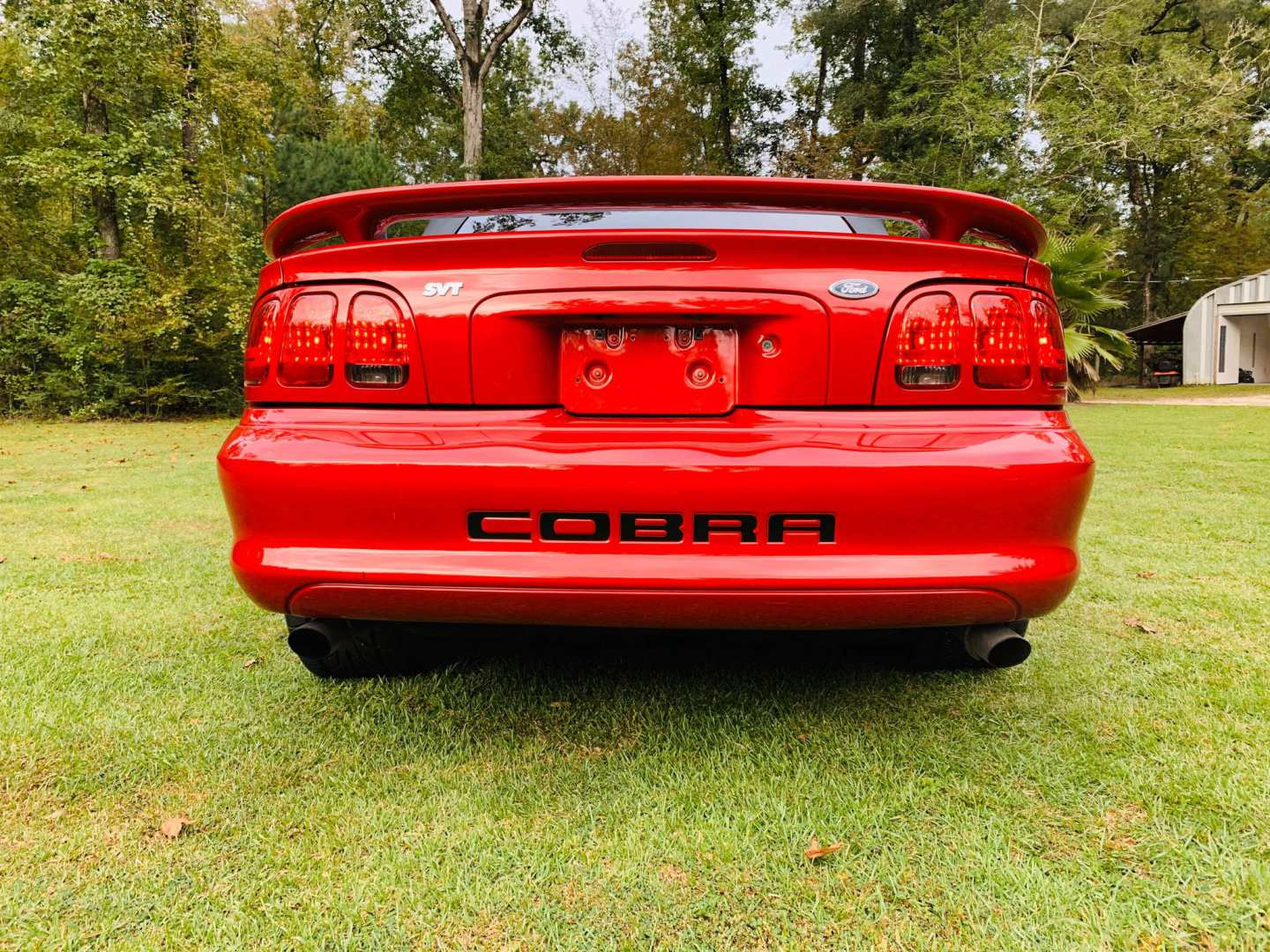 9th Image of a 1998 FORD MUSTANG COBRA