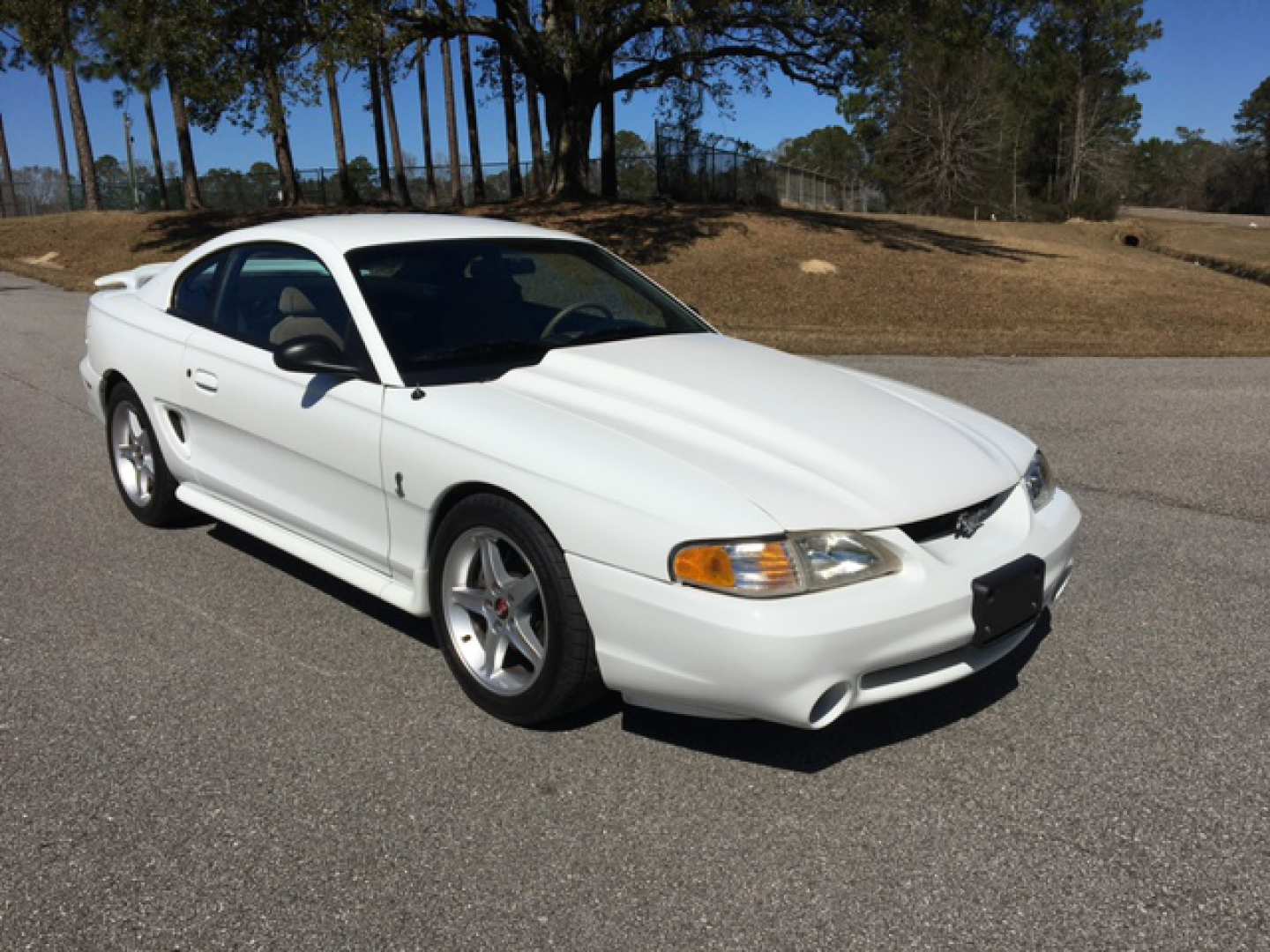 0th Image of a 1995 FORD MUSTANG COBRA R