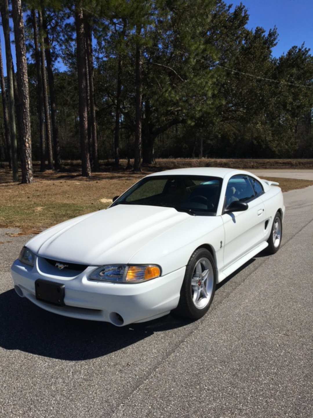 1st Image of a 1995 FORD MUSTANG COBRA R
