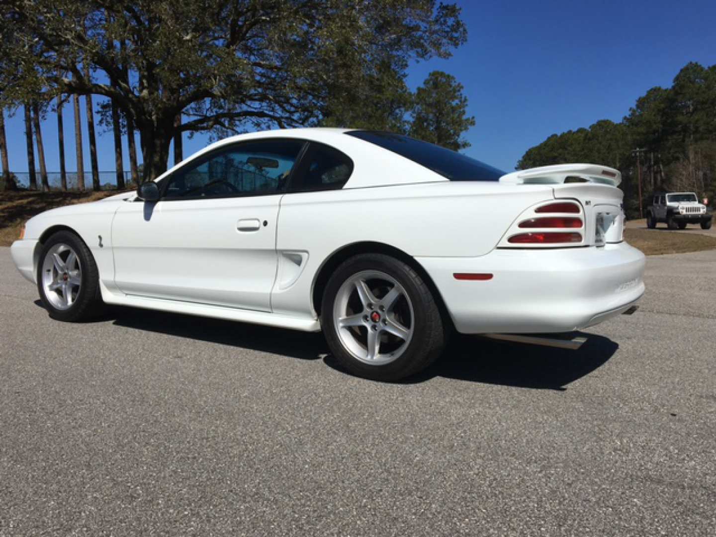 2nd Image of a 1995 FORD MUSTANG COBRA R