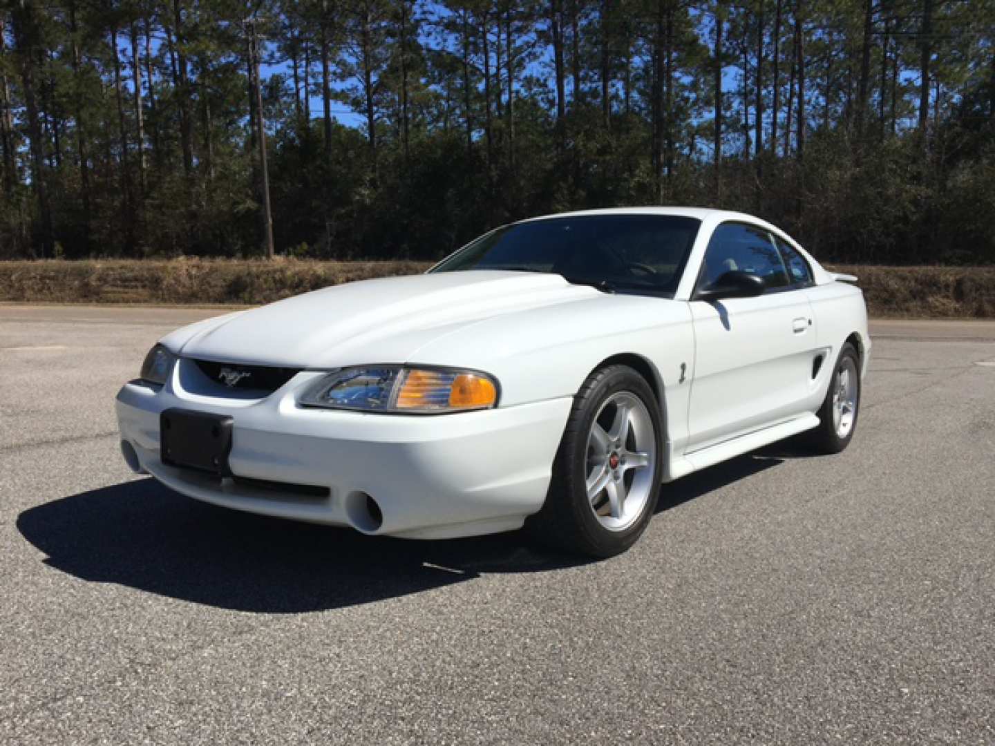 3rd Image of a 1995 FORD MUSTANG COBRA R