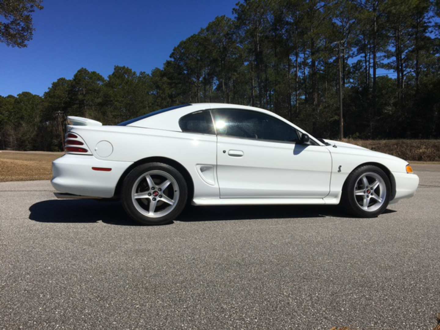 4th Image of a 1995 FORD MUSTANG COBRA R
