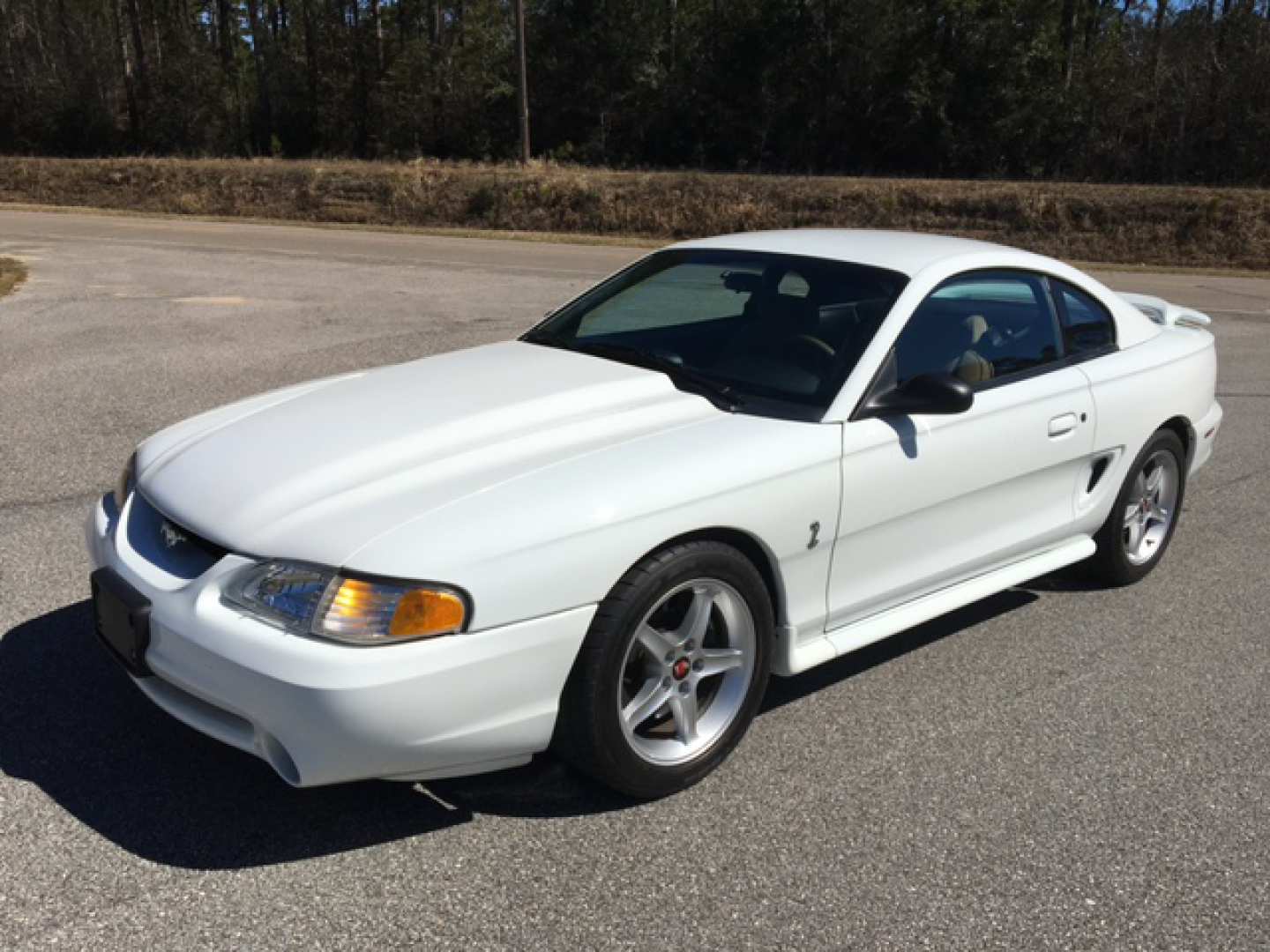 5th Image of a 1995 FORD MUSTANG COBRA R