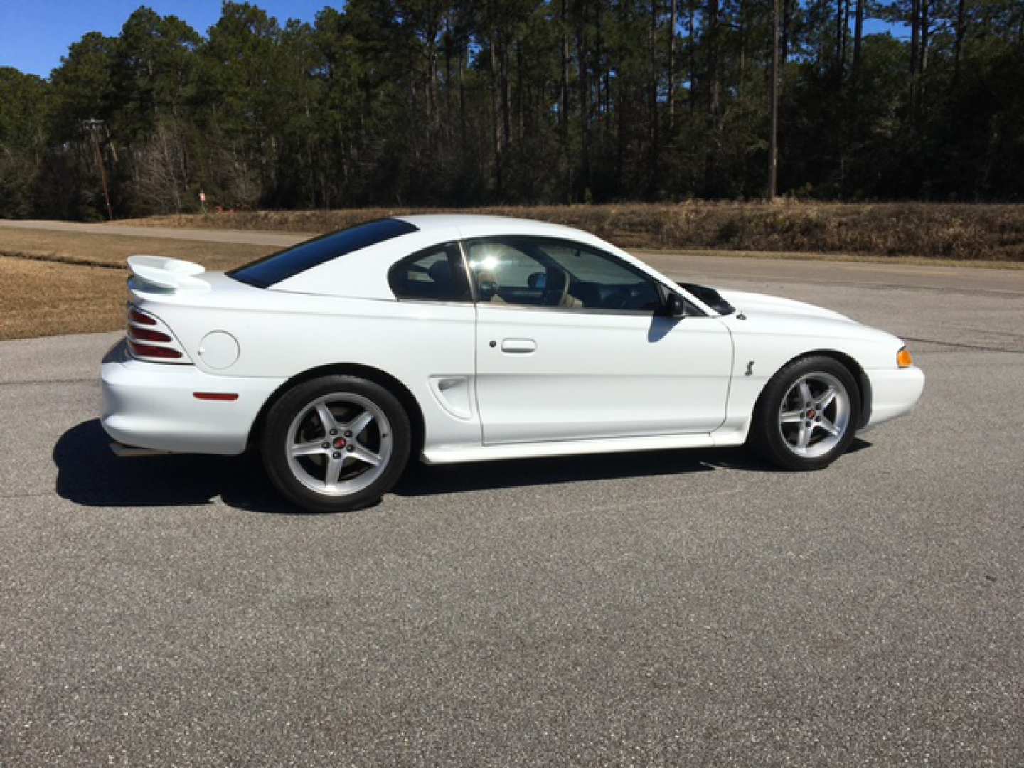 6th Image of a 1995 FORD MUSTANG COBRA R