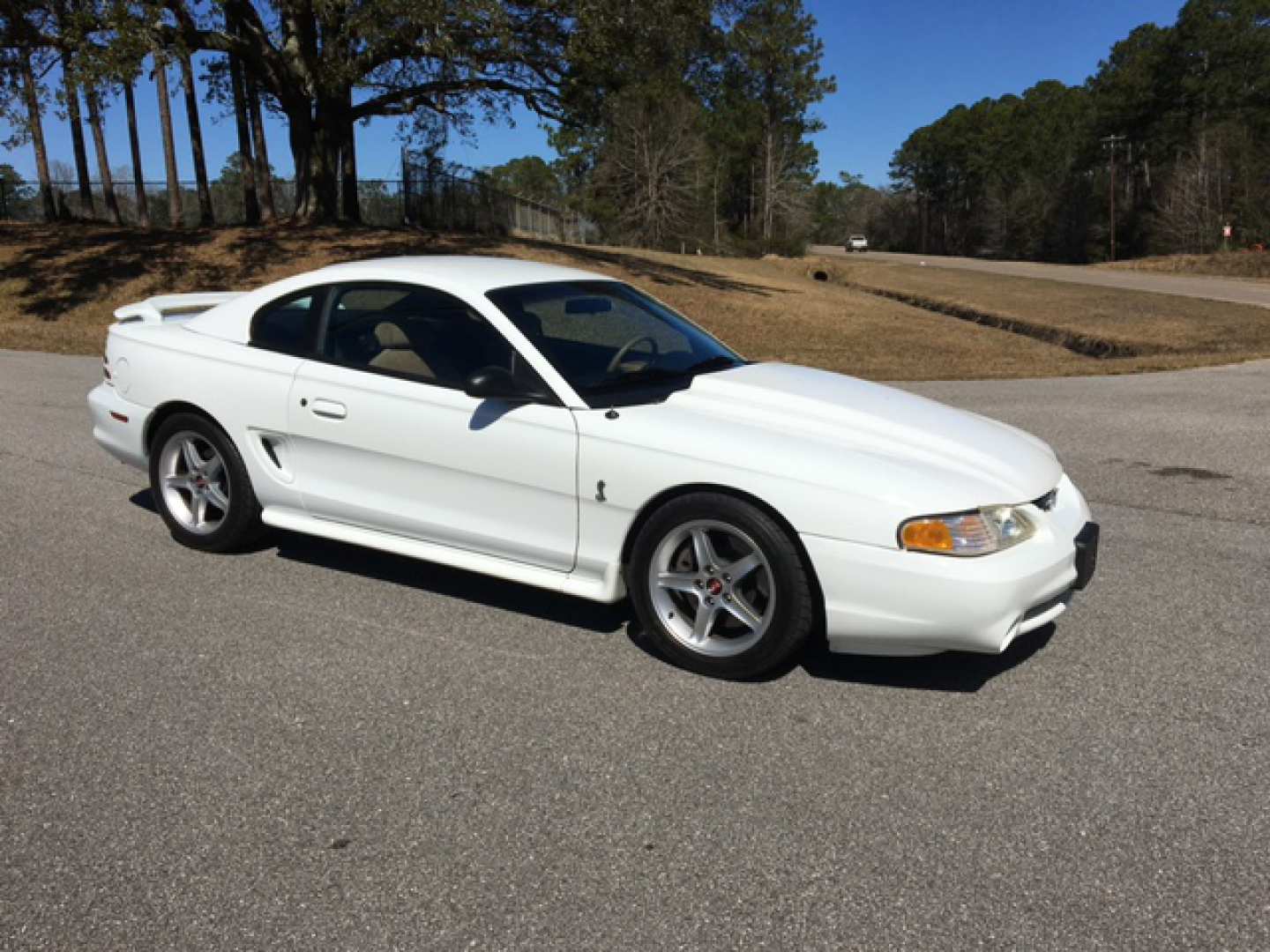 7th Image of a 1995 FORD MUSTANG COBRA R