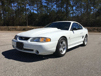 Image 4 of 10 of a 1995 FORD MUSTANG COBRA R