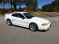 Image 8 of 10 of a 1995 FORD MUSTANG COBRA R