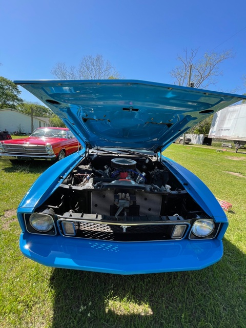 14th Image of a 1973 FORD MUSTANG