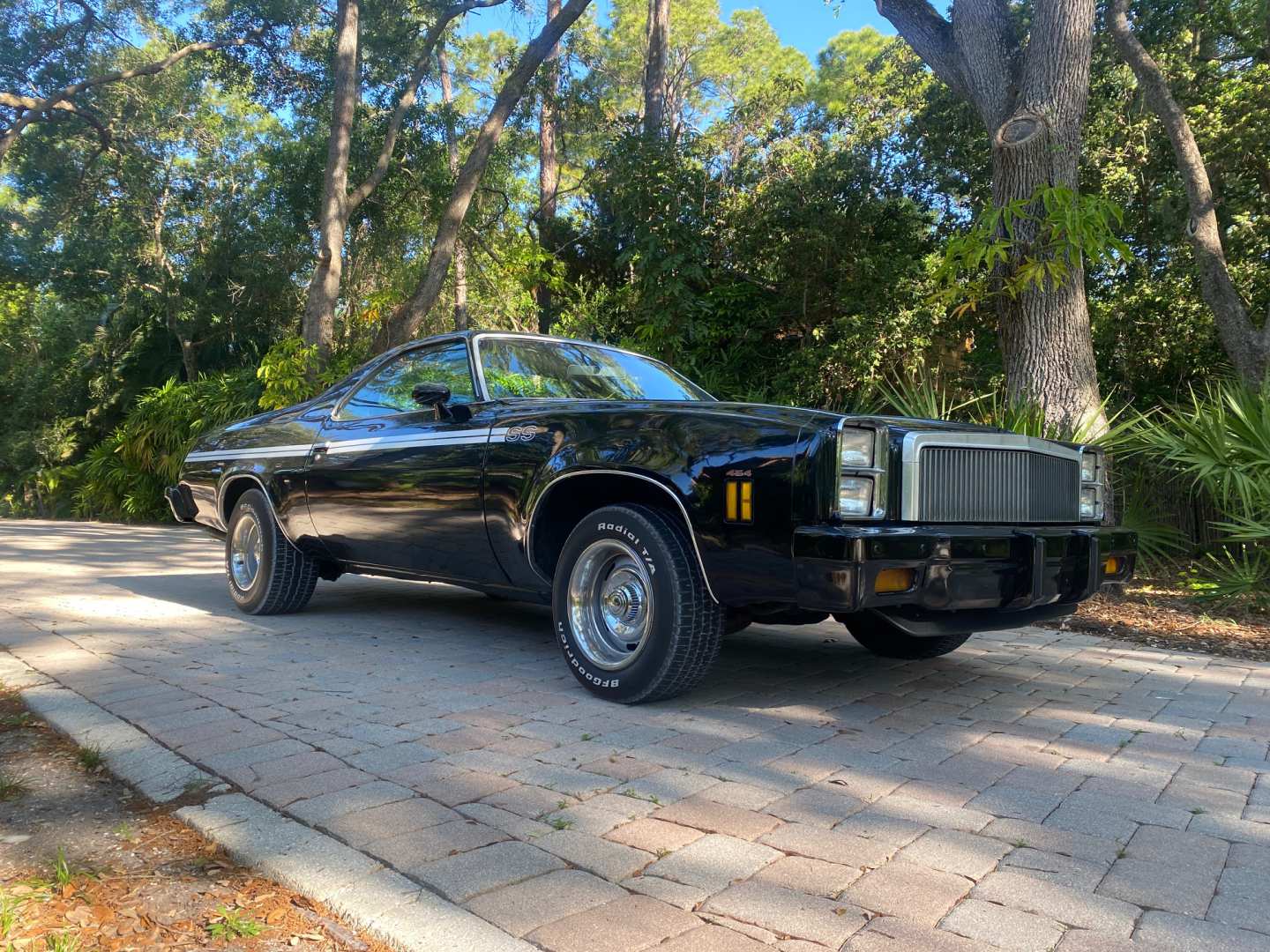 0th Image of a 1977 CHEVROLET EL CAMINO