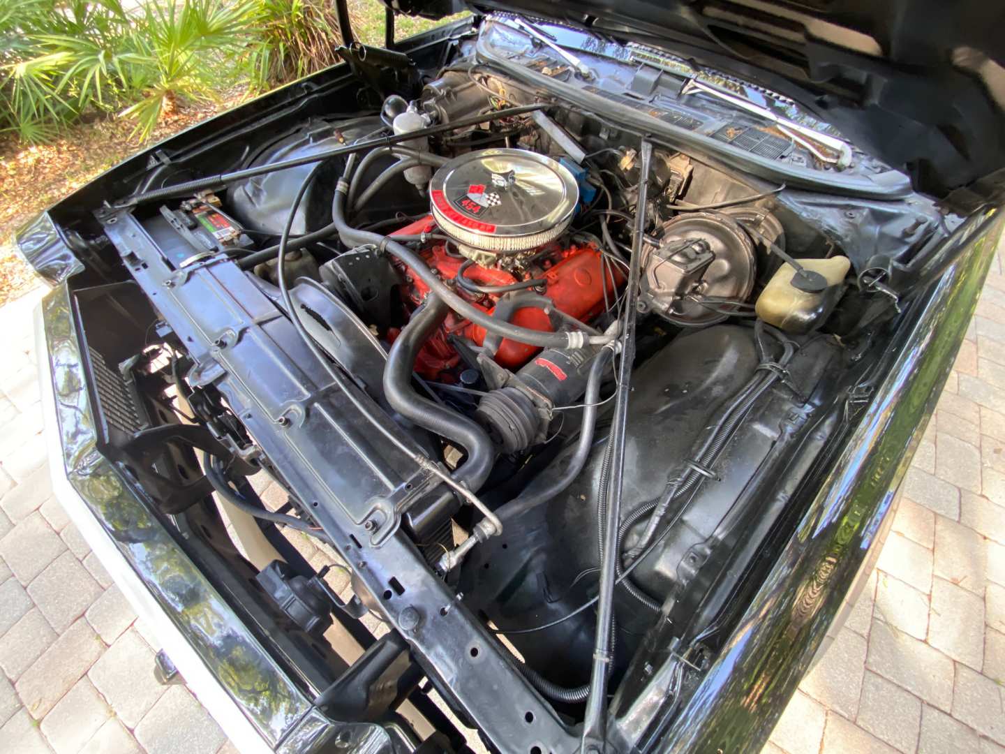 10th Image of a 1977 CHEVROLET EL CAMINO