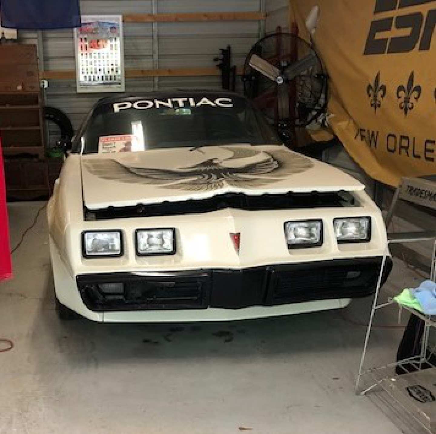 3rd Image of a 1981 PONTIAC FIREBIRD SE