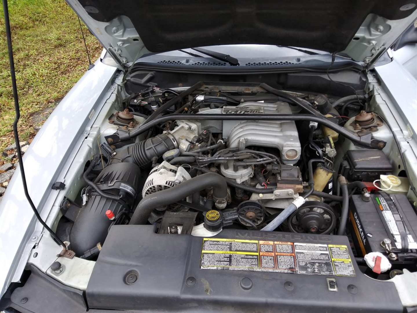 14th Image of a 1995 FORD MUSTANG GT
