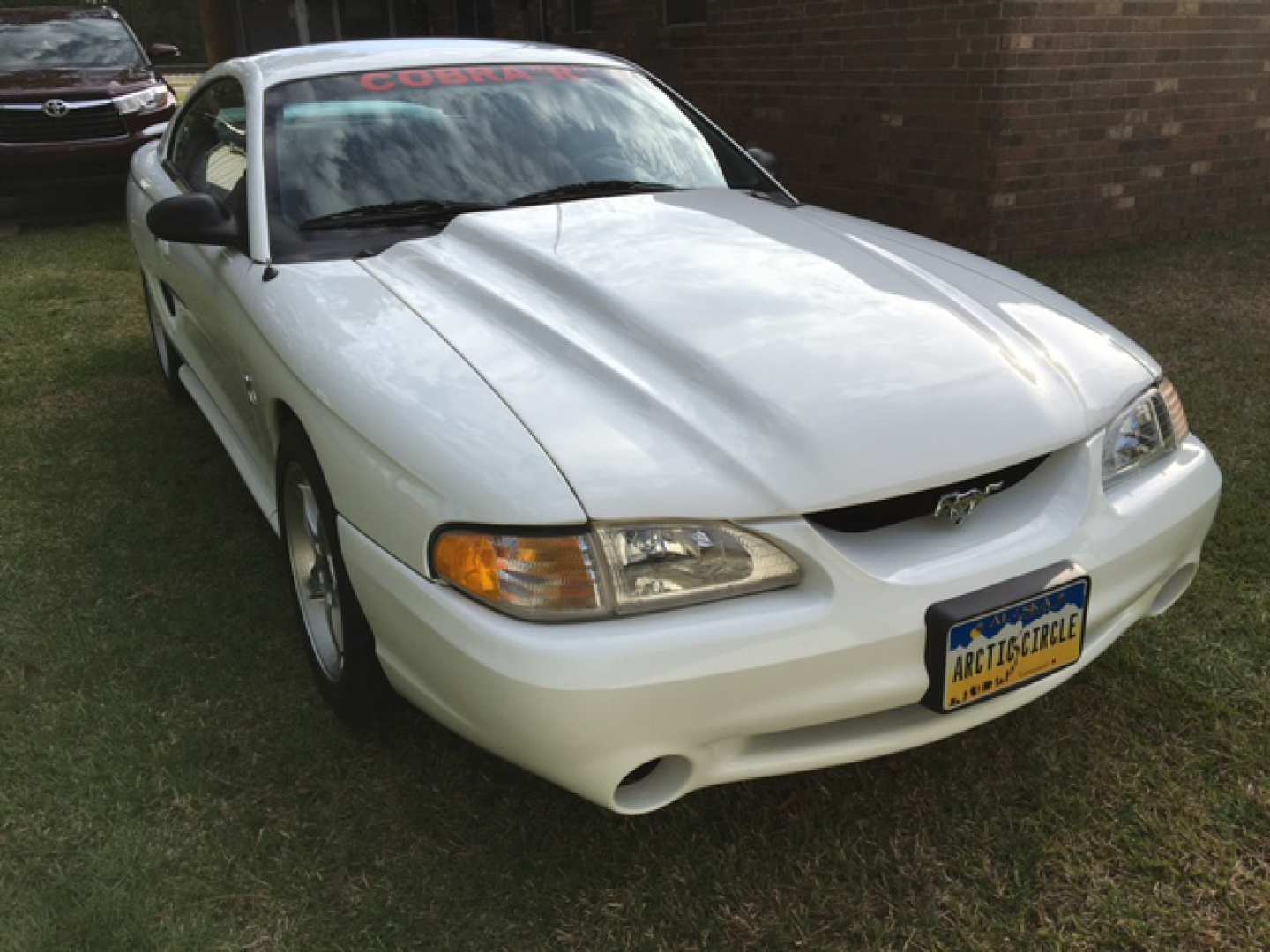 0th Image of a 1995 FORD MUSTANG COBRA R