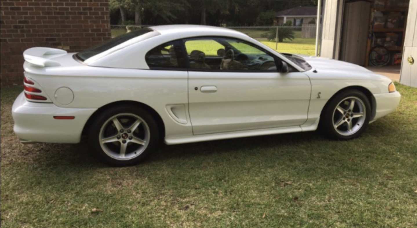 2nd Image of a 1995 FORD MUSTANG COBRA R