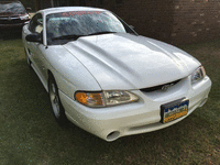 Image 1 of 5 of a 1995 FORD MUSTANG COBRA R