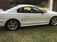 Image 3 of 5 of a 1995 FORD MUSTANG COBRA R
