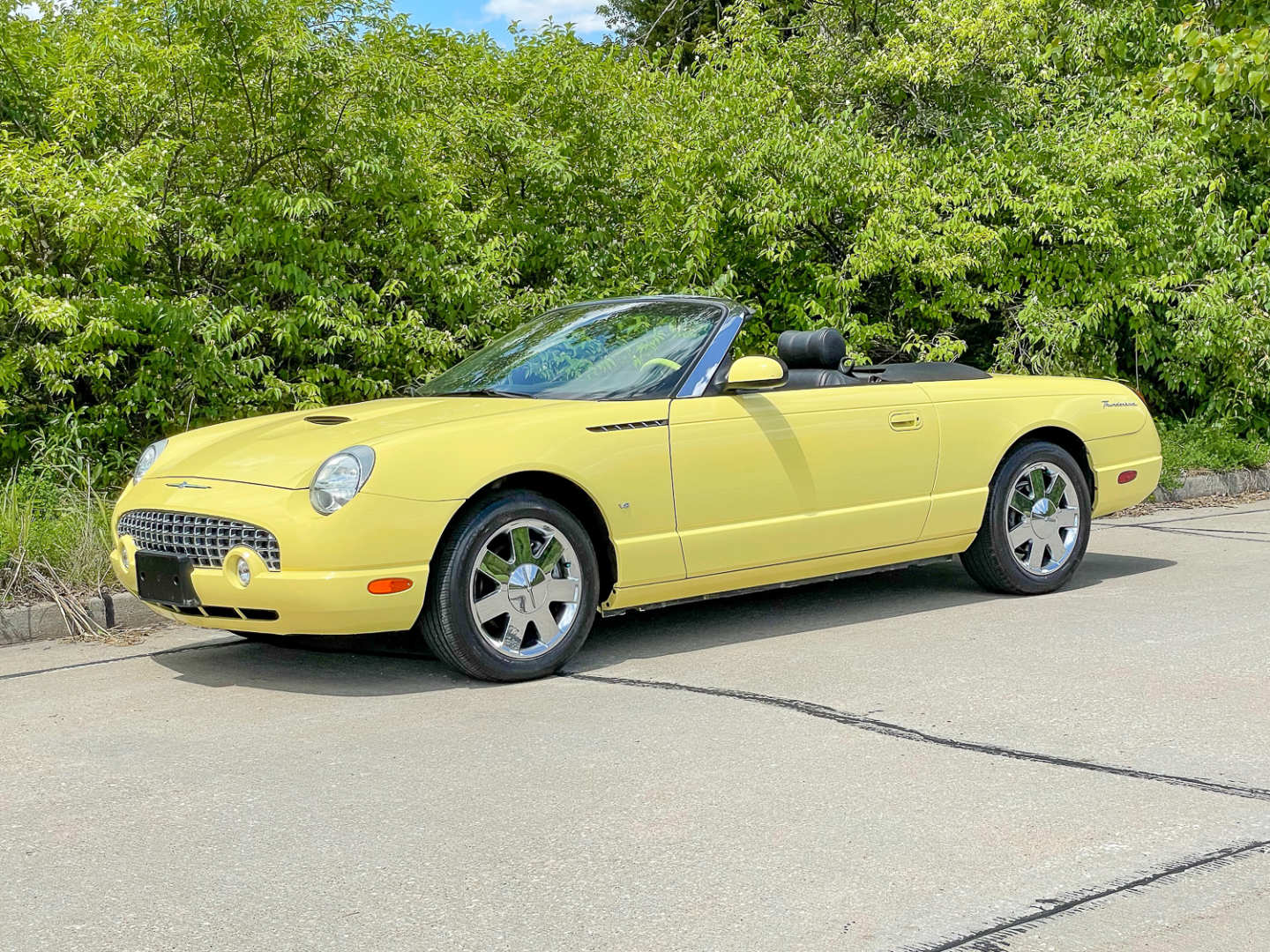 4th Image of a 2002 FORD THUNDERBIRD