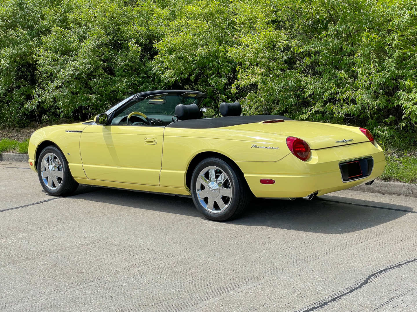 5th Image of a 2002 FORD THUNDERBIRD