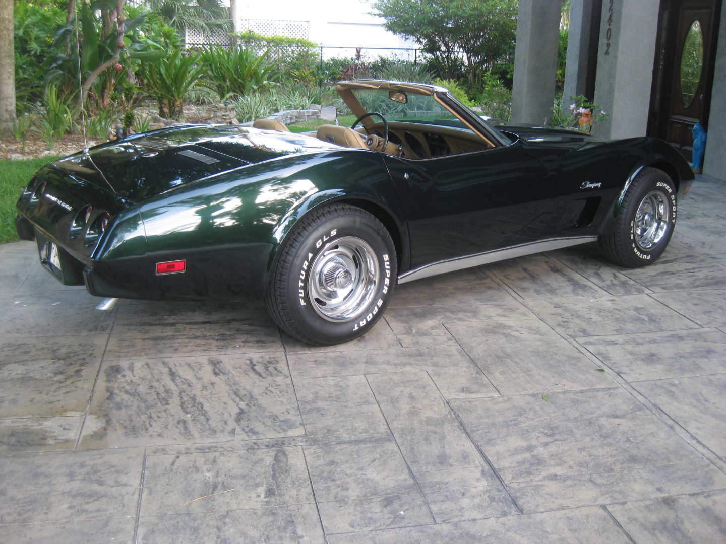 6th Image of a 1975 CHEVROLET CORVETTE