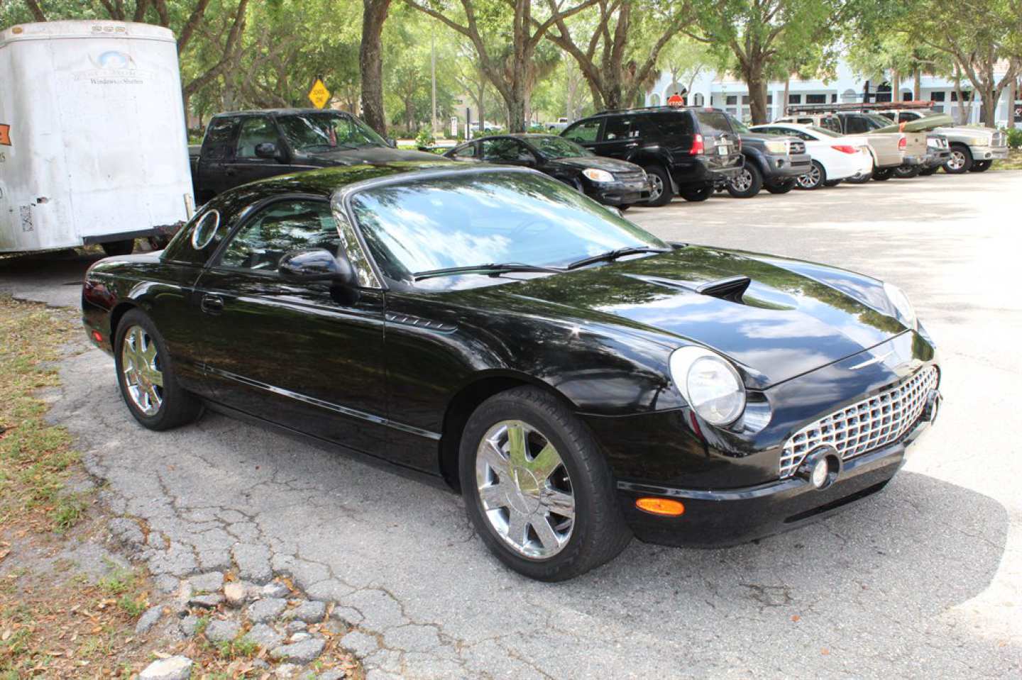 5th Image of a 2002 FORD THUNDERBIRD