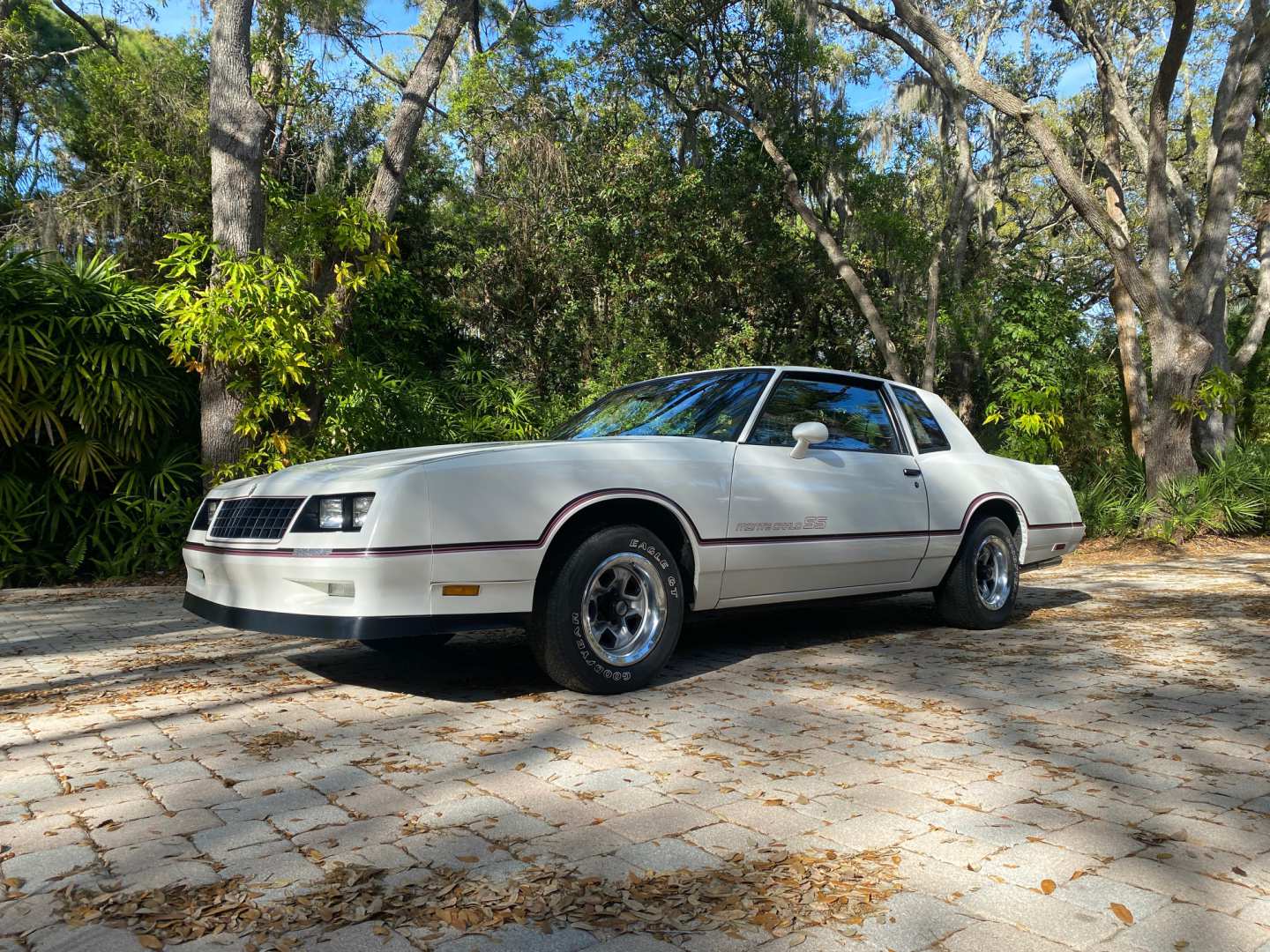 0th Image of a 1985 CHEVROLET MONTE CARLO