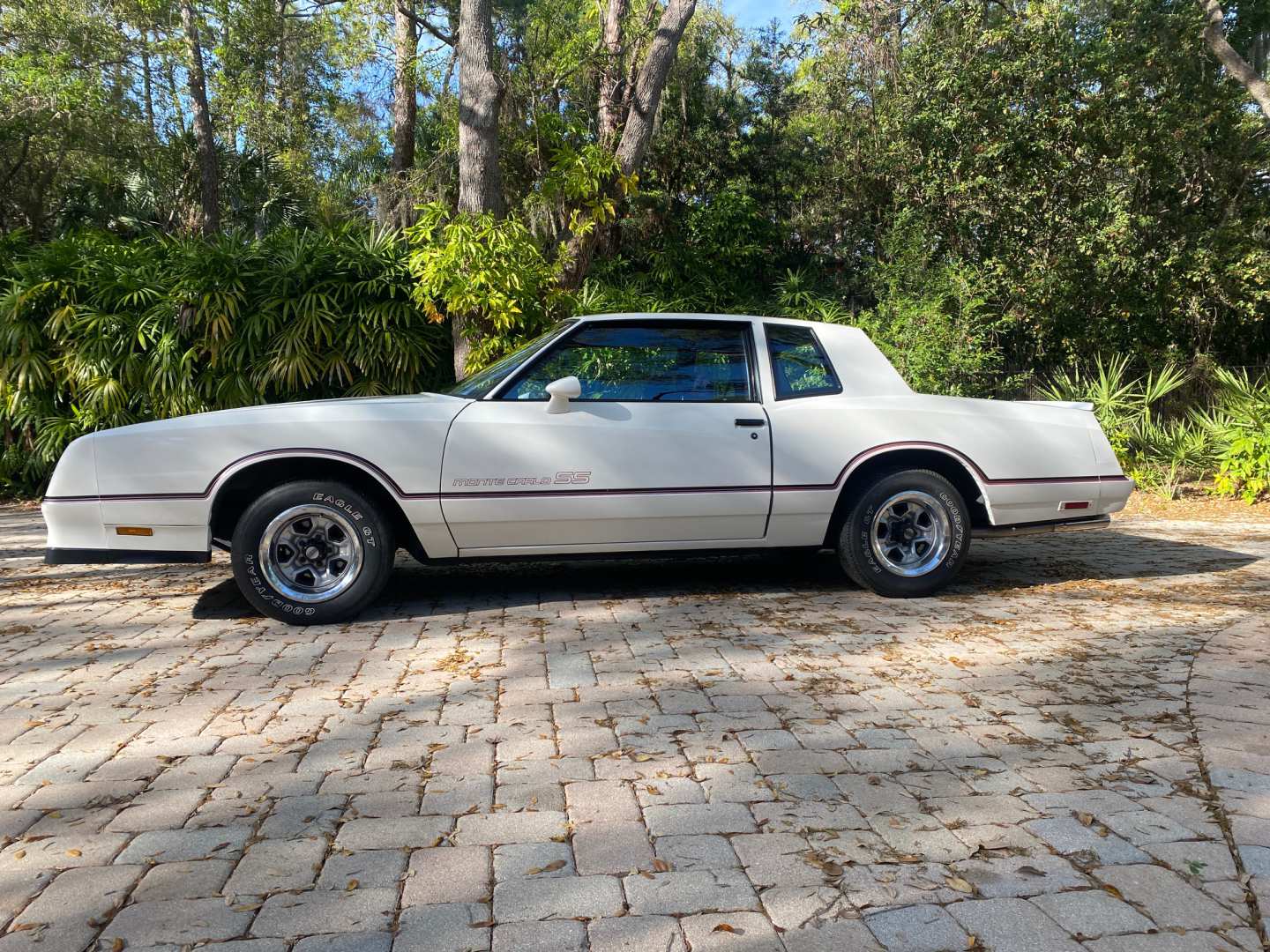 4th Image of a 1985 CHEVROLET MONTE CARLO
